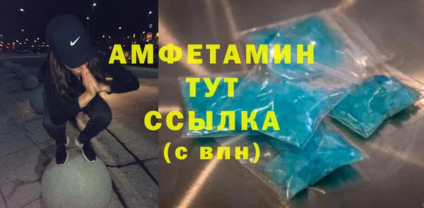 дурь Няндома