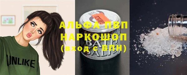 сатива Липки