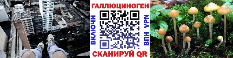 blacksprut ссылки  Шенкурск  Галлюциногенные грибы мухоморы  где найти наркотики 
